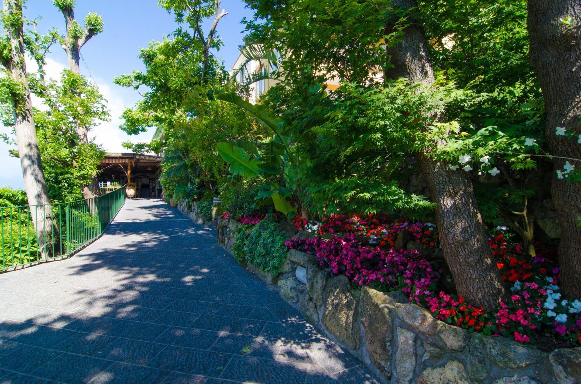La Capannina - Hotel & Apartments Ischia Bagian luar foto